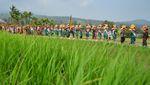 Melihat Kaum Ibu Ikut Arak-arakan Pekan Kebudayaan Nasional di Sumbar