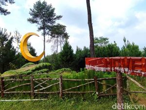 Puncak Move On, Tempat Healing Tersembunyi di Ciamis