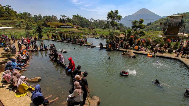 Sejumlah pengunjung menikmati suasana persawahan di Desa Wisata Ketapanrame, Mojokerto, Jawa Timur, Minggu (3/9/2023). Destinasi wisata yang dikelola oleh BUMDES setempat dan peraih penghargaan Desa Wisata Terbaik 2023 oleh Kemenparekraf itu dikunjungi sekitar seribu wisatawan saat akhir pekan. ANTARA FOTO/Muhammad Mada/nz