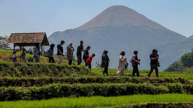 Sejumlah pengunjung menikmati suasana persawahan di Desa Wisata Ketapanrame, Mojokerto, Jawa Timur, Minggu (3/9/2023). Destinasi wisata yang dikelola oleh BUMDES setempat dan peraih penghargaan Desa Wisata Terbaik 2023 oleh Kemenparekraf itu dikunjungi sekitar seribu wisatawan saat akhir pekan. ANTARA FOTO/Muhammad Mada/nz