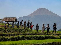 Disebut-sebut Gibran saat Debat, Ini Desa Wisata Terbaik 2023 di Mojokerto