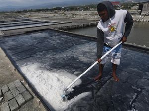 Berkah Petani Garam Dibalik Fenomena El Nino