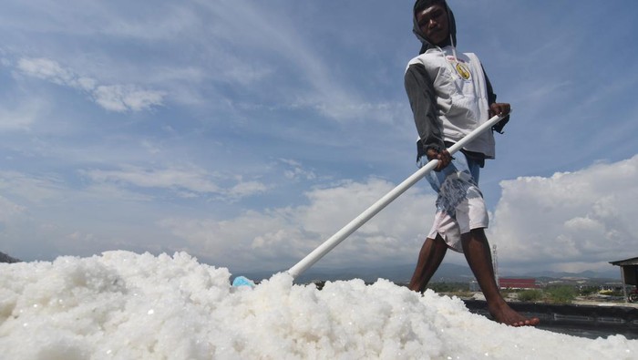 Petani memanen garam di Kawasan Penggaraman Talise di Palu, Sulawesi Tengah, Minggu (3/9/2023). Fenomena El Nino membawa keuntungan bagi petani garam di kawasan tersebut yakni mempercepat masa panen garam dari rata-rata satu kali panen dalam sepekan menjadi dua kali panen dalam sepekan dengan hasil produksi meningkat hingga 50 persen. ANTARA FOTO/Mohamad Hamzah/nz.