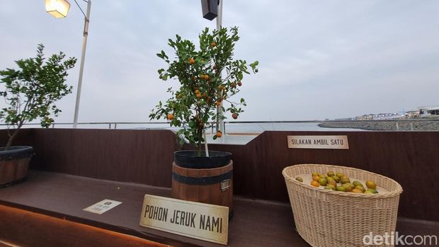 Going Merry di PIK