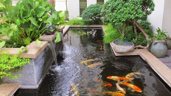 Inspirasi Kolam Ikan