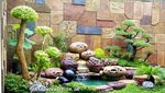 Inspirasi Kolam Ikan yang Cocok untuk Percantik Rumah