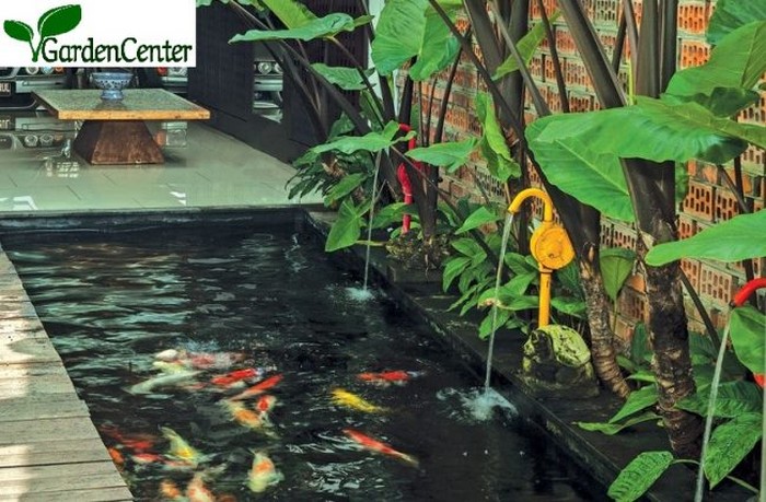 Inspirasi Kolam Ikan