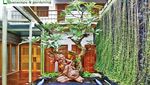 Inspirasi Kolam Ikan yang Cocok untuk Percantik Rumah