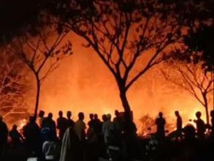 Heboh Kebakaran di Kebun Raya Indrokilo Boyolali, Pemkab: Lahan Warga