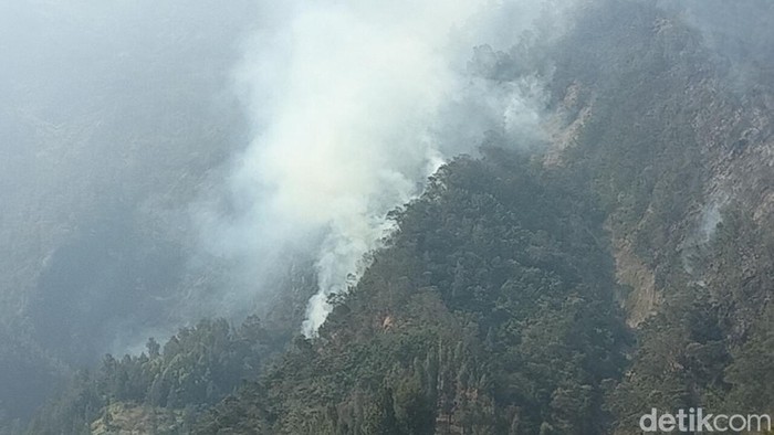 Kebakaran hutan di kawasan Gunung Bromo