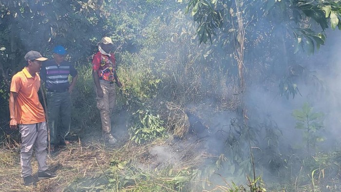 Kebakaran lahan di Bengkulu (Foto: Istimewa)