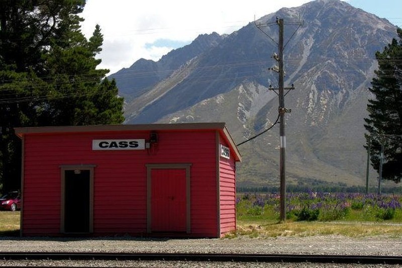 Melihat Potret Benda Hingga Makhluk Hidup Terkecil di Dunia