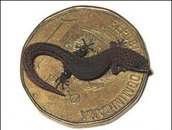 Melihat Potret Benda Hingga Makhluk Hidup Terkecil di Dunia