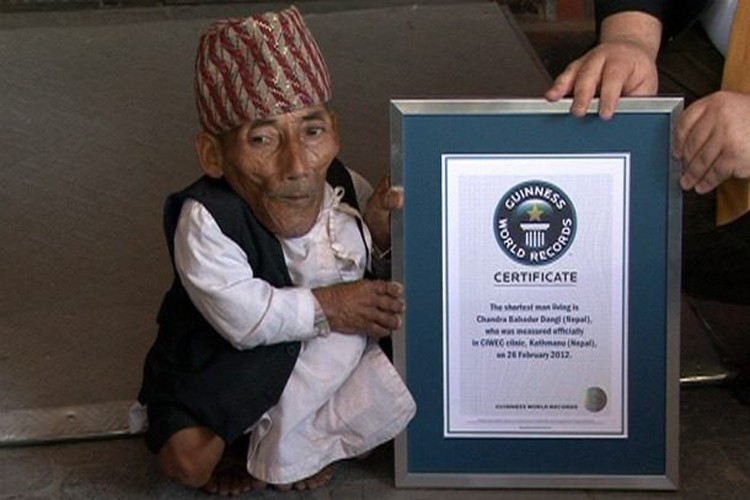 Melihat Potret Benda Hingga Makhluk Hidup Terkecil di Dunia
