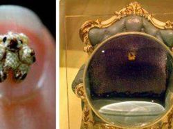 Melihat Potret Benda Hingga Makhluk Hidup Terkecil di Dunia