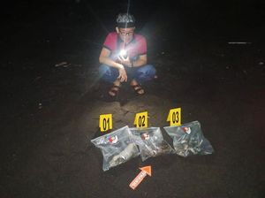Geger Potongan Kaki-Usus di Pantai Yeh Malet, Diduga Organ Manusia