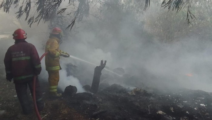 Petugas damkar memadamkan kebakaran lahan di Bogor