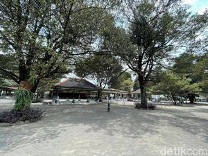 Mengenal Filosofi Pohon di Keraton Jogja: dari Sawo Kecik-Beringin