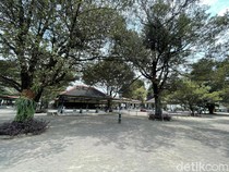 Ternyata Ini Alasan Banyak Pohon Sawo Kecik di Keraton Jogja