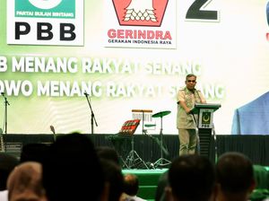 Gerindra soal PKB Kini Dukung Anies: Perbedaan Bukan Berarti Perpisahan