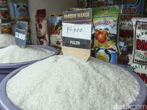 Kenaikan Harga Beras dan Antisipasi Ketidakcukupan Konsumsi