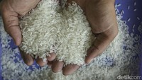 Beras pun menjadi penyumbang inflasi terbesar pada Agustus 2023 baik secara bulanan (month to month/mtm) maupun tahunan (year on year/yoy).  