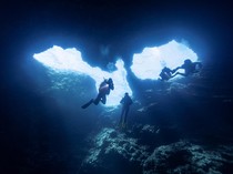 Marine Biologist: Tugas, Gaji, Skill, Jenjang Karier, dan Cara Jadi Ahli Biologi Laut