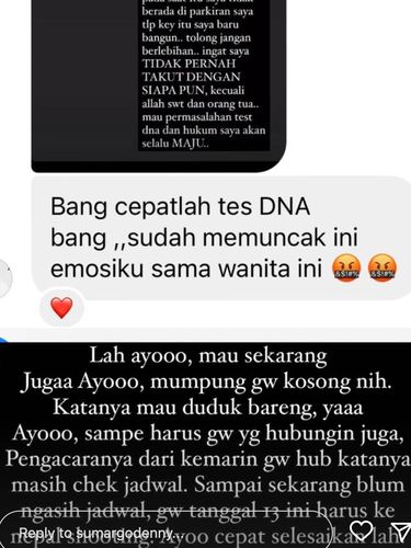 Denny Sumargo dalam Instagram Stories miliknya.