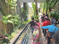 Sejoli China Tewas di Hotel-Lift Maut di Ubud Renggut 5 Nyawa