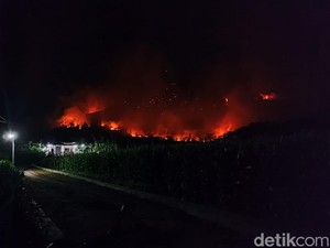 Meluasnya Kebakaran Hutan di Ponorogo Ancam Permukiman Warga