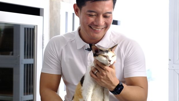 Pemiliki Marco Cattrey, Dharmawijaya, peternak kucing ras langka.