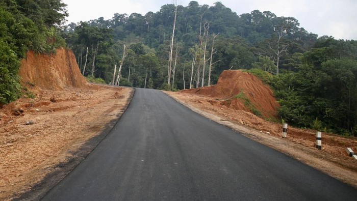 Pemerintah membangun jalan paralel perbatasan Kalimantan Barat hingga Kalimantan Timur sepanjang 608 km. Targetnya jalan tersebut dapat tembus seluruhnya pada akhir 2024.