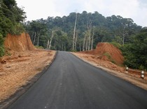 Jalan Perbatasan Kalbar Tembus Kaltim Dikebut Rampung 2024, Begini Progresnya