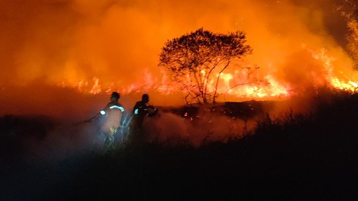 Petugas berhasil memadamkan api yang membakar lahan kosong