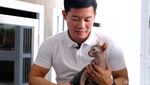 Potret Bisnis Kucing Sultan, Harga Tembus Rp 150 Juta/Ekor