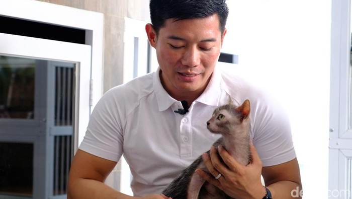 Minat masyarakat memelihara kucing ras tertentu saat ini semakin tinggi, apalagi ras dari luar negeri yang belum banyak dipelihara di Indonesia, seperti Lykoi, devon rex hingga Dwelf.