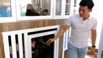 Potret Bisnis Kucing Sultan, Harga Tembus Rp 150 Juta/Ekor