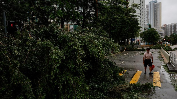 A man walks near fallen trees following Super Typhoon Saola, in Hong Kong, China September 2, 2023. REUTERS/Tyrone Siu