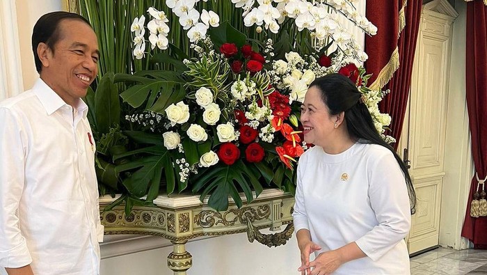 Presiden Jokowi dan Puan Maharani. (dok. IG Puan).