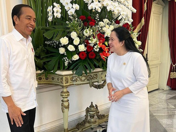 Presiden Jokowi dan Puan Maharani. (dok. IG Puan).