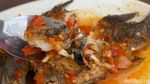 Aduh Enaknye! Pecak Ikan Nila dan Semur Jengkol di Warung Ayah Rojak