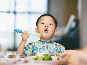4 Sasaran Kebijakan Badan Gizi Nasional: Anak Sekolah-Ibu Hamil