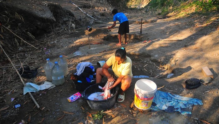 Dampak kekeringan di Grobogan Warga mengisi jeriken dengan air yang diambil dari lubang di dasar sungai di Dukuh Ketro Barat, Karangrayung, Grobogan, Jawa Tengah, Senin (4/9/2023). Menurut data dari Badan Penanggulangan Bencana Daerah (BPBD) Grobogan hingga 4 September 2023, sebanyak 84 desa dari 17 kecamatan di kabupaten itu dilanda bencana kekeringan dan BPBD setempat sudah menyalurkan air bersih ke 78 desa yang terdampak. ANTARA FOTO/Yusuf Nugroho/nym.