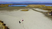 Penurunan drastis muka air Danau Titicaca terjadi setelah gelombang musim panas dingin. Meskipun permukaan air diketahui berfluktuasi setiap tahun, perubahan ini menjadi lebih ekstrem akibat krisis iklim. (Claudia Morales/Reuters)