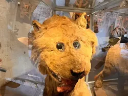 Deretan Foto yang Jarang Dilihat Tapi Bikin Tercengang