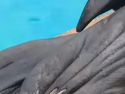 Deretan Foto yang Jarang Dilihat Tapi Bikin Tercengang