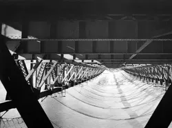 Deretan Foto yang Jarang Dilihat Tapi Bikin Tercengang