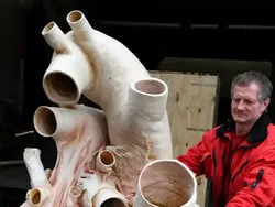 Deretan Foto yang Jarang Dilihat Tapi Bikin Tercengang