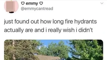 Inilah ukuran hidran kebakaran. Foto: Buzzfeed