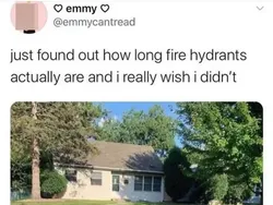 Deretan Foto yang Jarang Dilihat Tapi Bikin Tercengang